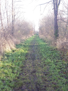 Dosenmoor Weg