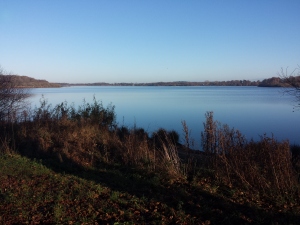 Einfelder See Südseite