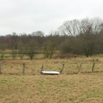 Badeswanne auf Koppel