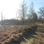 wpid-20150208_122153.jpg