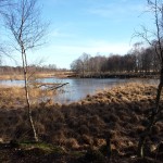 wpid-20150208_122403.jpg