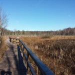 wpid-20150208_124755.jpg