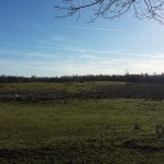 wpid-20150208_125334.jpg