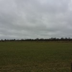 am Moorweg entlang